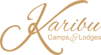 Karibu Camps & Lodges